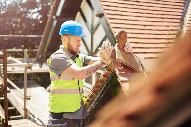 Roof Gutter Cleaning in Clawson, MI